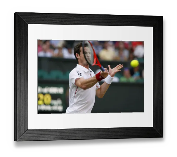 Framed Print : Andy Murray Framed Print : Andy Murray