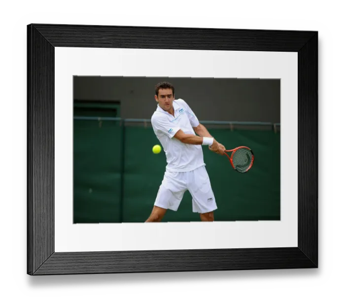 Framed Print : Marin Cilic