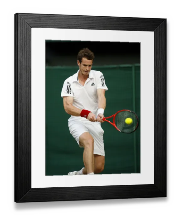 Framed Print : Andy Murray Framed Print : Andy Murray