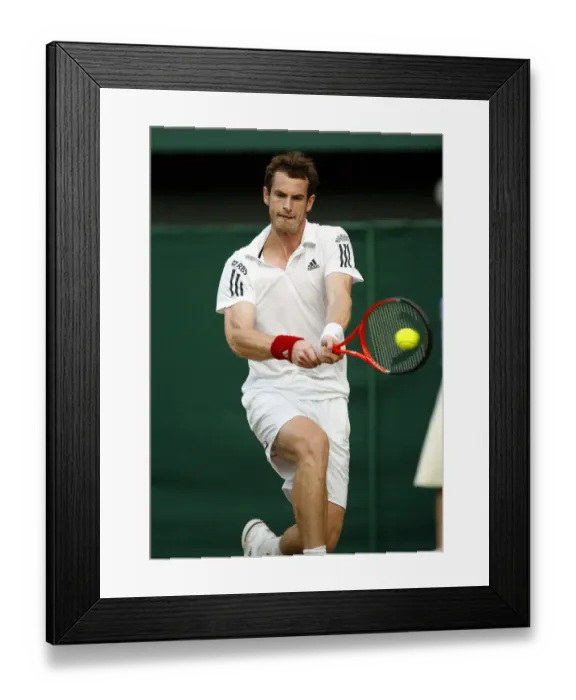 Framed Print : Andy Murray Framed Print : Andy Murray