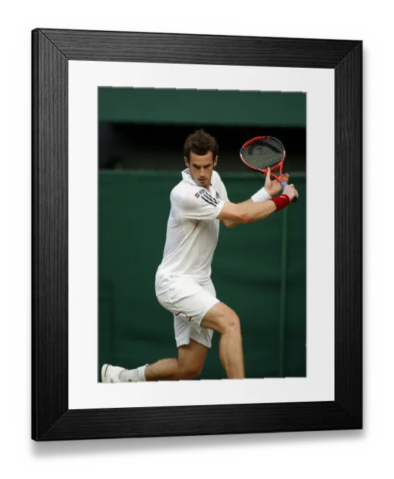 Framed Print : Andy Murray Framed Print : Andy Murray