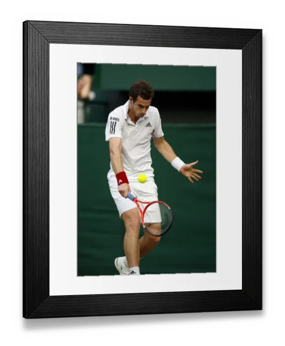 Framed Print : Andy Murray Framed Print : Andy Murray