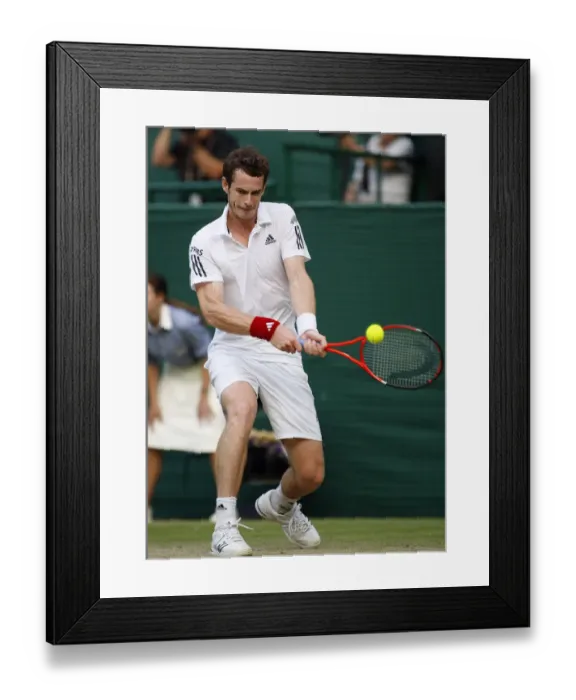 Framed Print : Andy Murray Framed Print : Andy Murray
