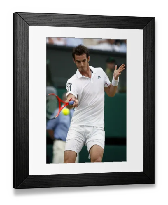 Framed Print : Andy Murray Framed Print : Andy Murray
