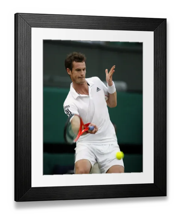 Framed Print : Andy Murray Framed Print : Andy Murray