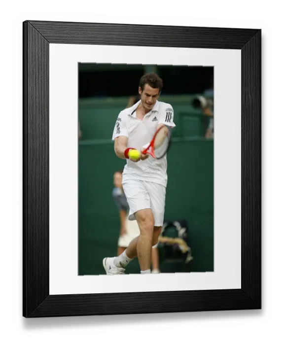 Framed Print : Andy Murray Framed Print : Andy Murray