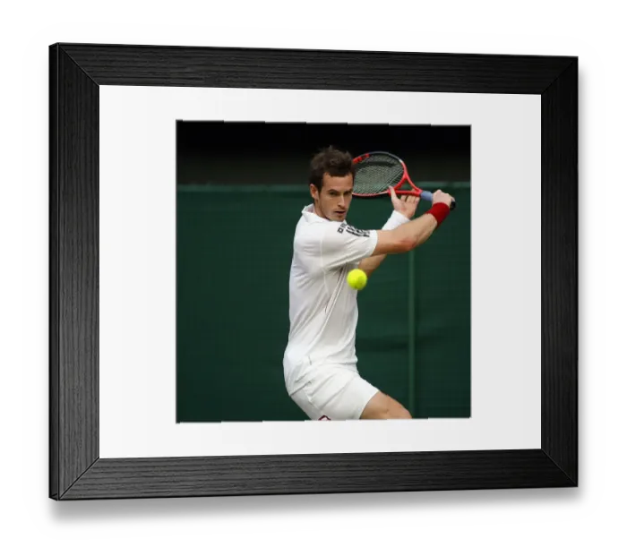 Framed Print : Andy Murray Framed Print : Andy Murray