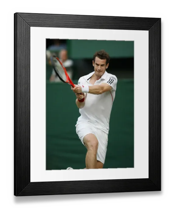 Framed Print : Andy Murray Framed Print : Andy Murray