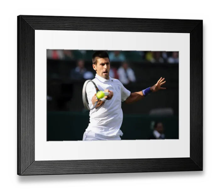 Framed Print : Novak Djokovic Framed Print : Novak Djokovic