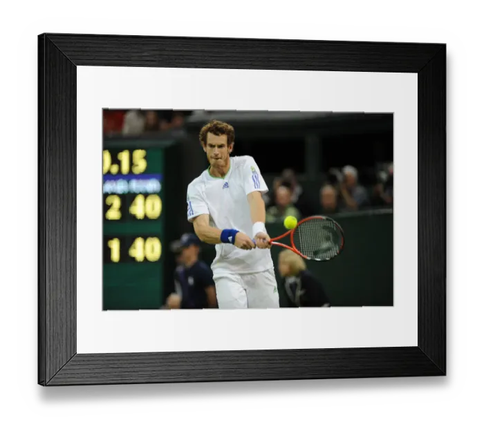 Framed Print : Andy Murray Framed Print : Andy Murray