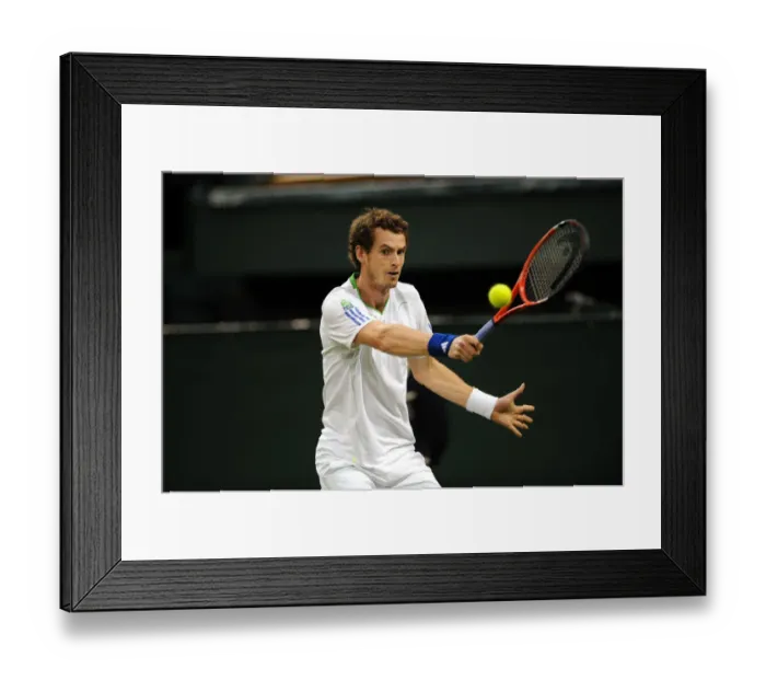 Framed Print : Andy Murray Framed Print : Andy Murray