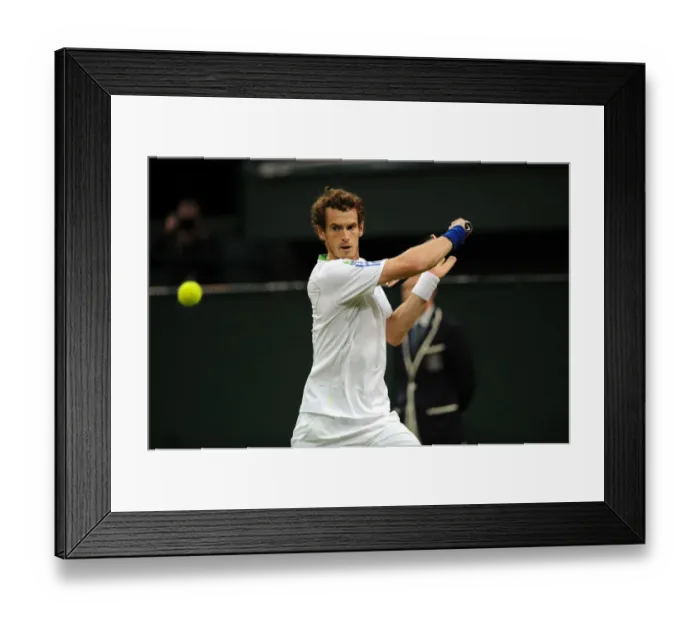 Framed Print : Andy Murray Framed Print : Andy Murray