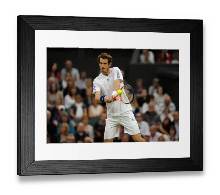 Framed Print : Andy Murray Framed Print : Andy Murray