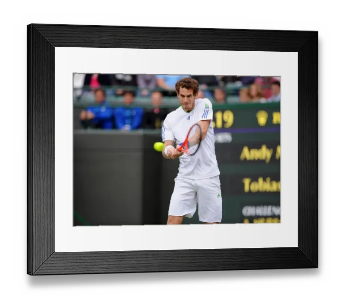 Framed Print : Andy Murray Framed Print : Andy Murray