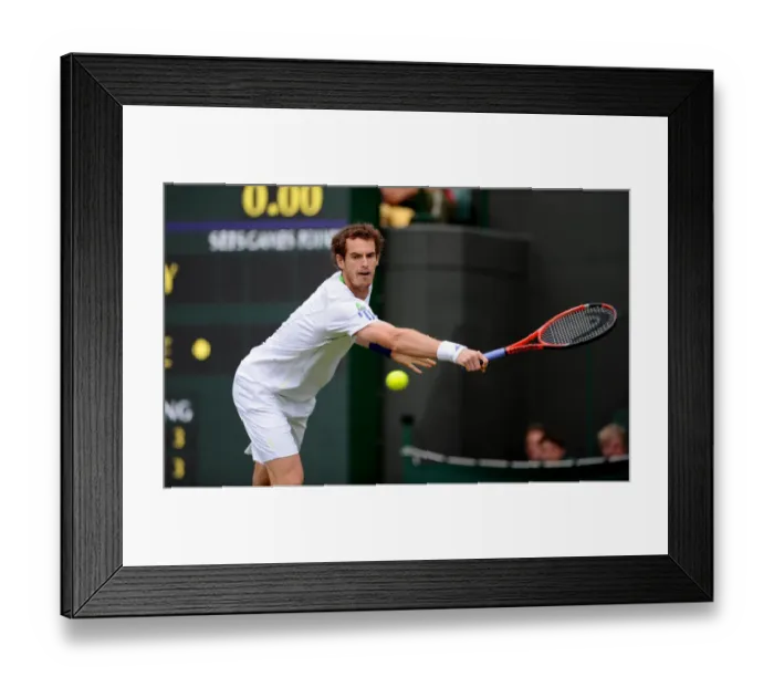 Framed Print : Andy Murray Framed Print : Andy Murray