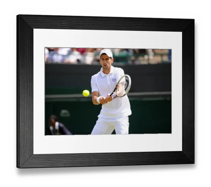Framed Print : Novak Djokovic Framed Print : Novak Djokovic
