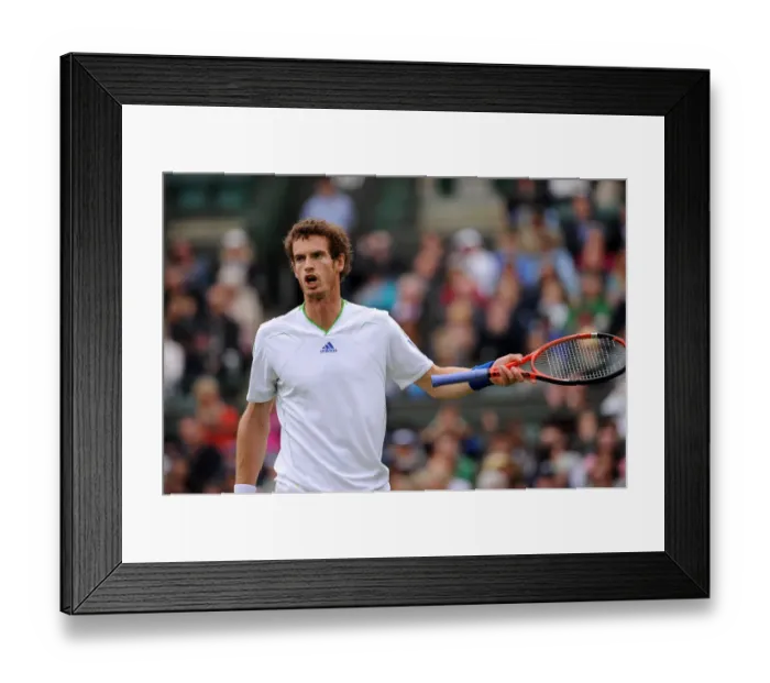 Framed Print : Andy Murray Framed Print : Andy Murray