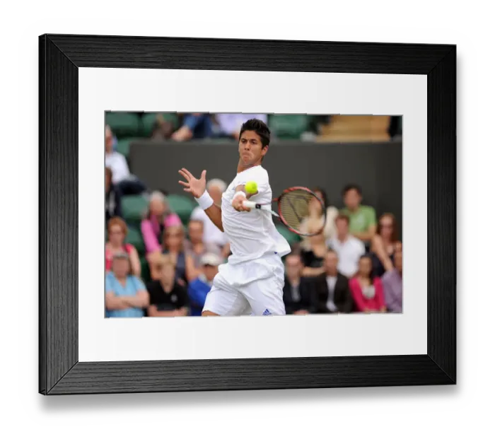 Framed Print : Fernando Verdasco Framed Print : Fernando Verdasco