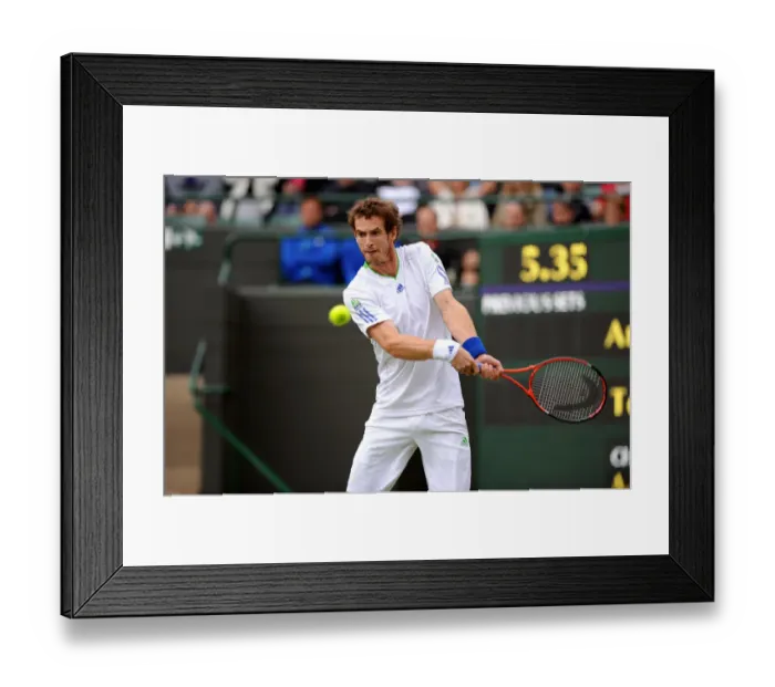 Framed Print : Andy Murray Framed Print : Andy Murray
