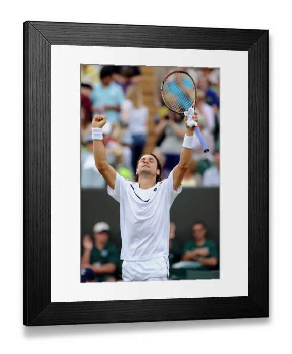 Framed Print : David Ferrer Celebrates Win