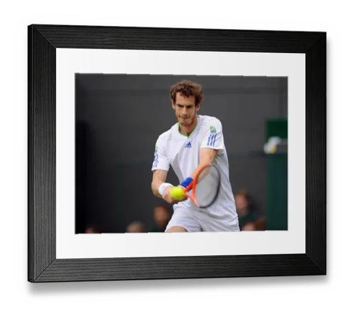 Framed Print : Andy Murray