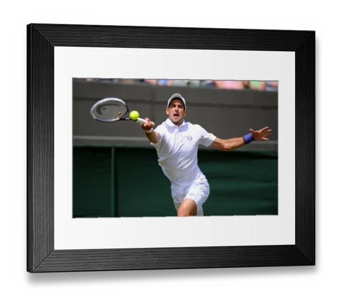 Framed Print : Novak Djokovic Framed Print : Novak Djokovic