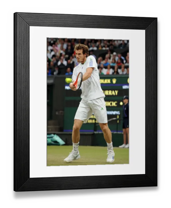 Framed Print : Andy Murray Framed Print : Andy Murray