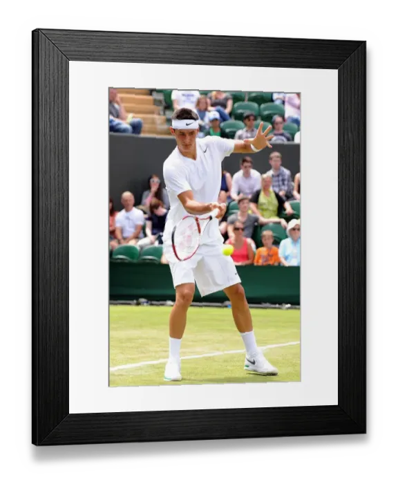 Framed Print : Bernard Tomic Framed Print : Bernard Tomic