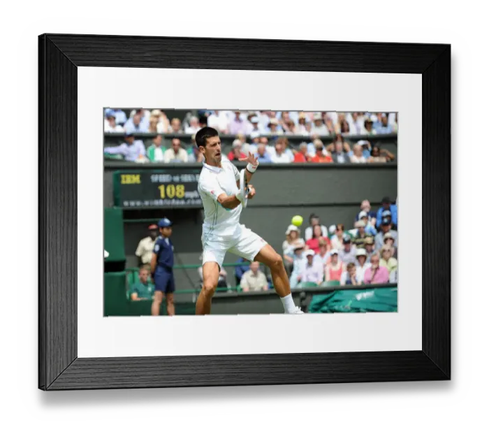 Framed Print : Novak Djokovic Framed Print : Novak Djokovic