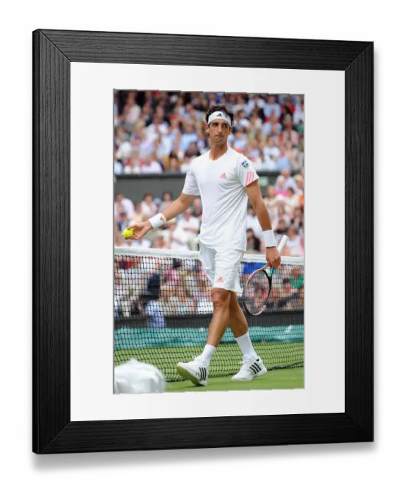 Framed Print : Tomaz Bellucci Framed Print : Tomaz Bellucci