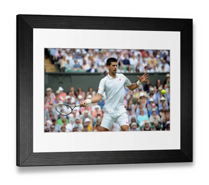 Framed Print : Novak Djokovic Framed Print : Novak Djokovic