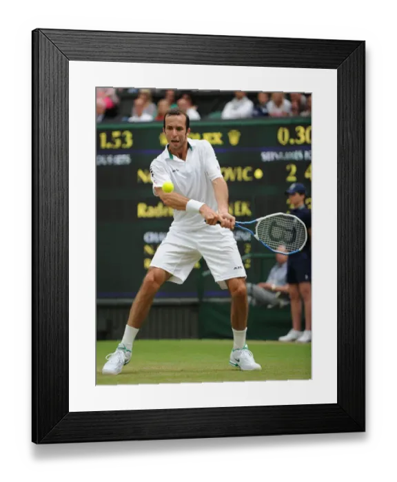 Framed Print : Radek Srepanek