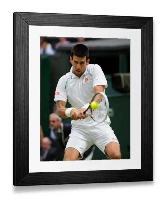 Framed Print : Novak Djokovic Framed Print : Novak Djokovic