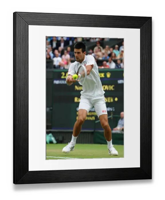 Framed Print : Novak Djokovic Framed Print : Novak Djokovic