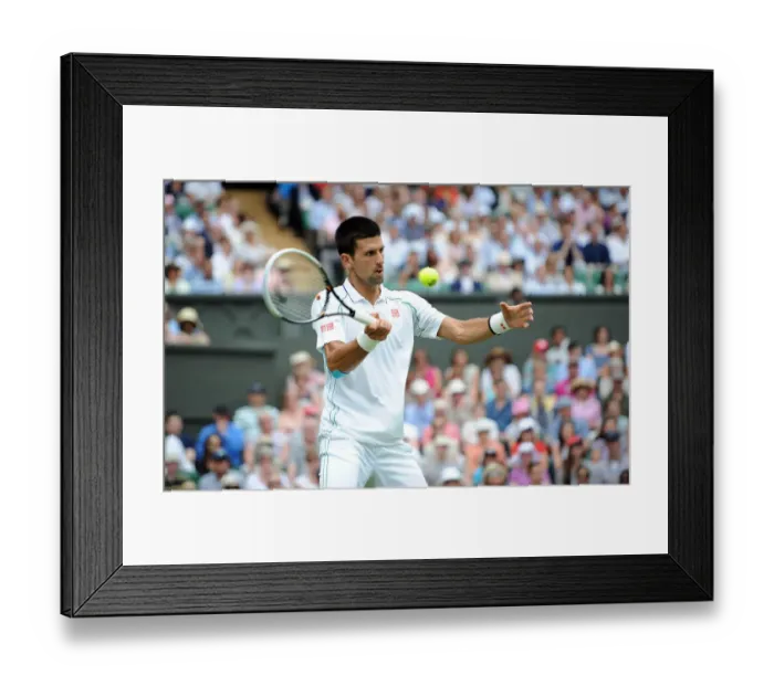 Framed Print : Novak Djokovic Framed Print : Novak Djokovic