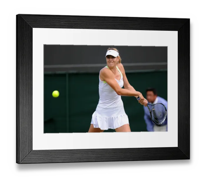 Framed Print : Maria Sharapova Framed Print : Maria Sharapova