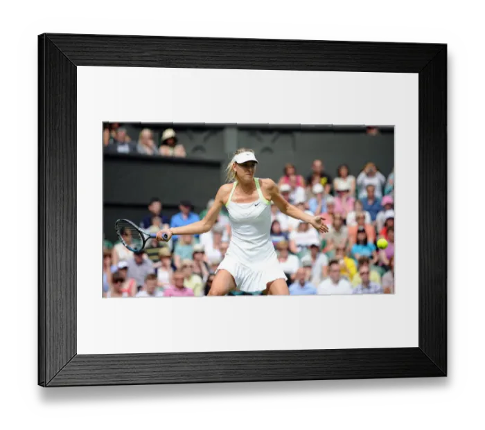 Framed Print : Maria Sharapova Framed Print : Maria Sharapova