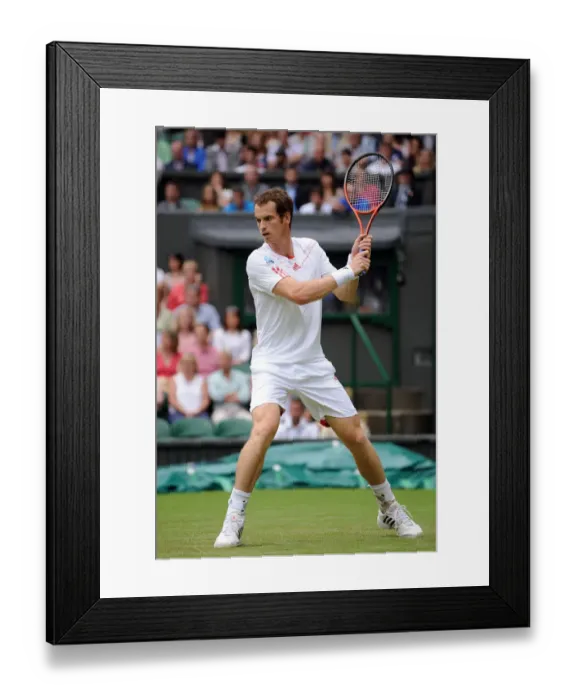 Framed Print : Andy Murray Framed Print : Andy Murray