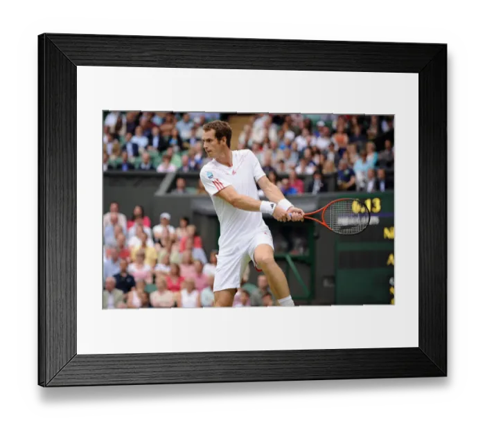 Framed Print : Andy Murray Framed Print : Andy Murray