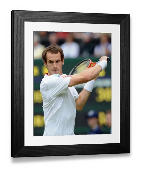 Framed Print : Andy Murray Framed Print : Andy Murray