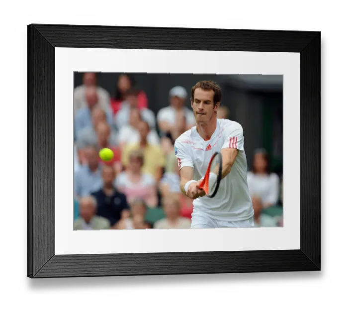 Framed Print : Andy Murray Framed Print : Andy Murray
