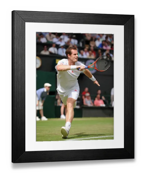 Framed Print : Andy Murray Framed Print : Andy Murray