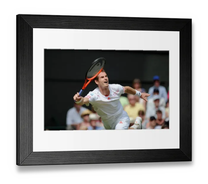 Framed Print : Andy Murray Framed Print : Andy Murray