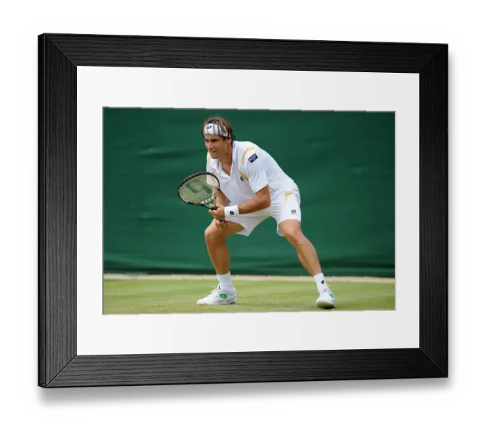Framed Print : David Ferrer Framed Print : David Ferrer