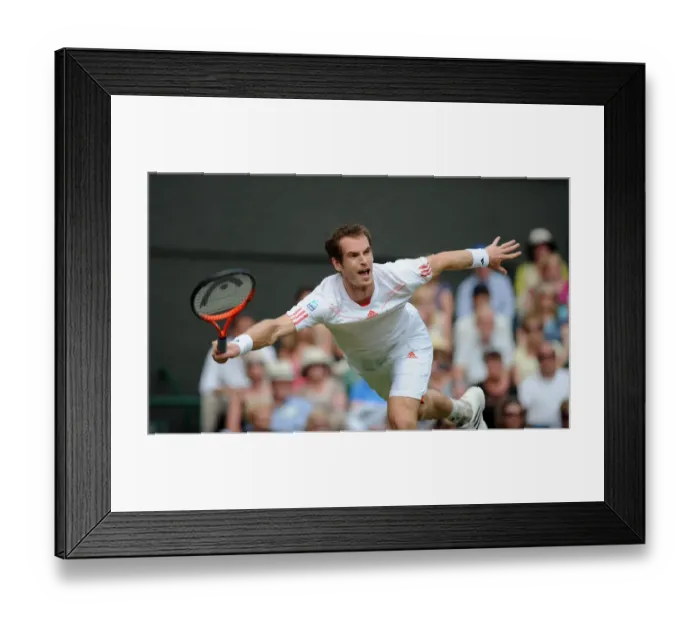 Framed Print : Andy Murray Framed Print : Andy Murray