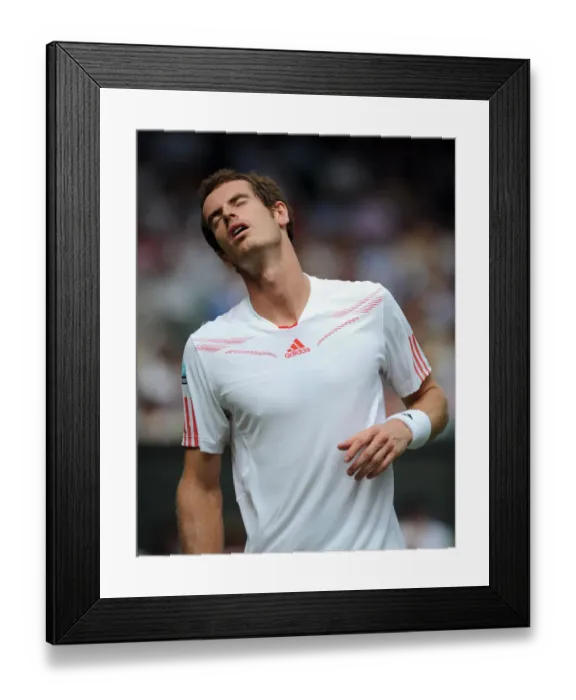 Framed Print : Andy Murray Framed Print : Andy Murray
