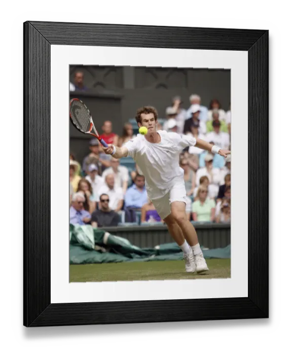 Framed Print : Andy Murray Framed Print : Andy Murray