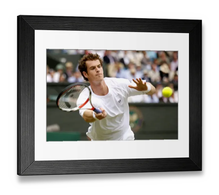 Framed Print : Andy Murray Framed Print : Andy Murray