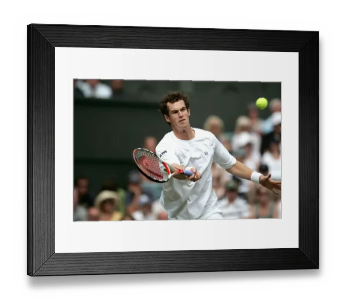 Framed Print : Andy Murray