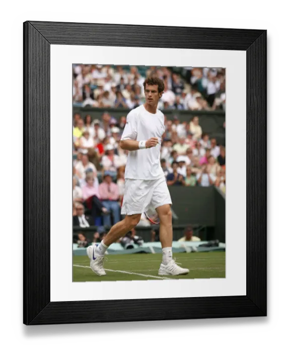 Framed Print : Andy Murray Framed Print : Andy Murray